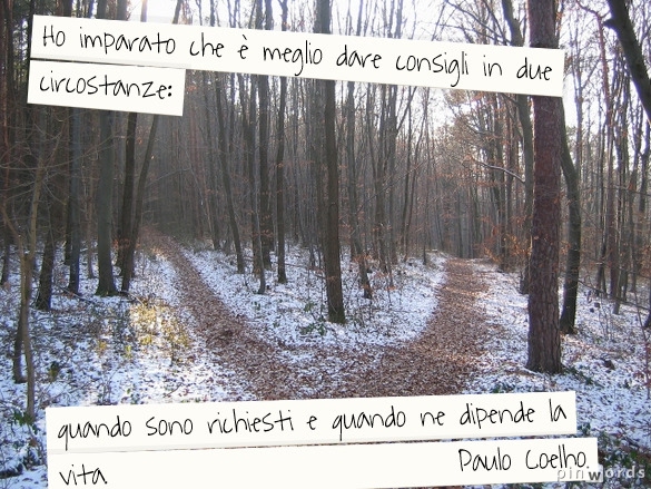 citazione Coelho